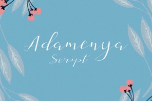 Adamenya: A Handwritten Typeface for Modern Digital Branding