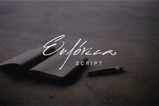 Euforica: The Perfect Handwritten Typeface for Boutique Branding