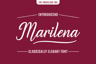 Marilena: A Designer’s Honest Take on This Script Amp