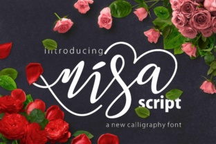 Nisa Typeface: Elevate Your Brand With Modern Script Design
