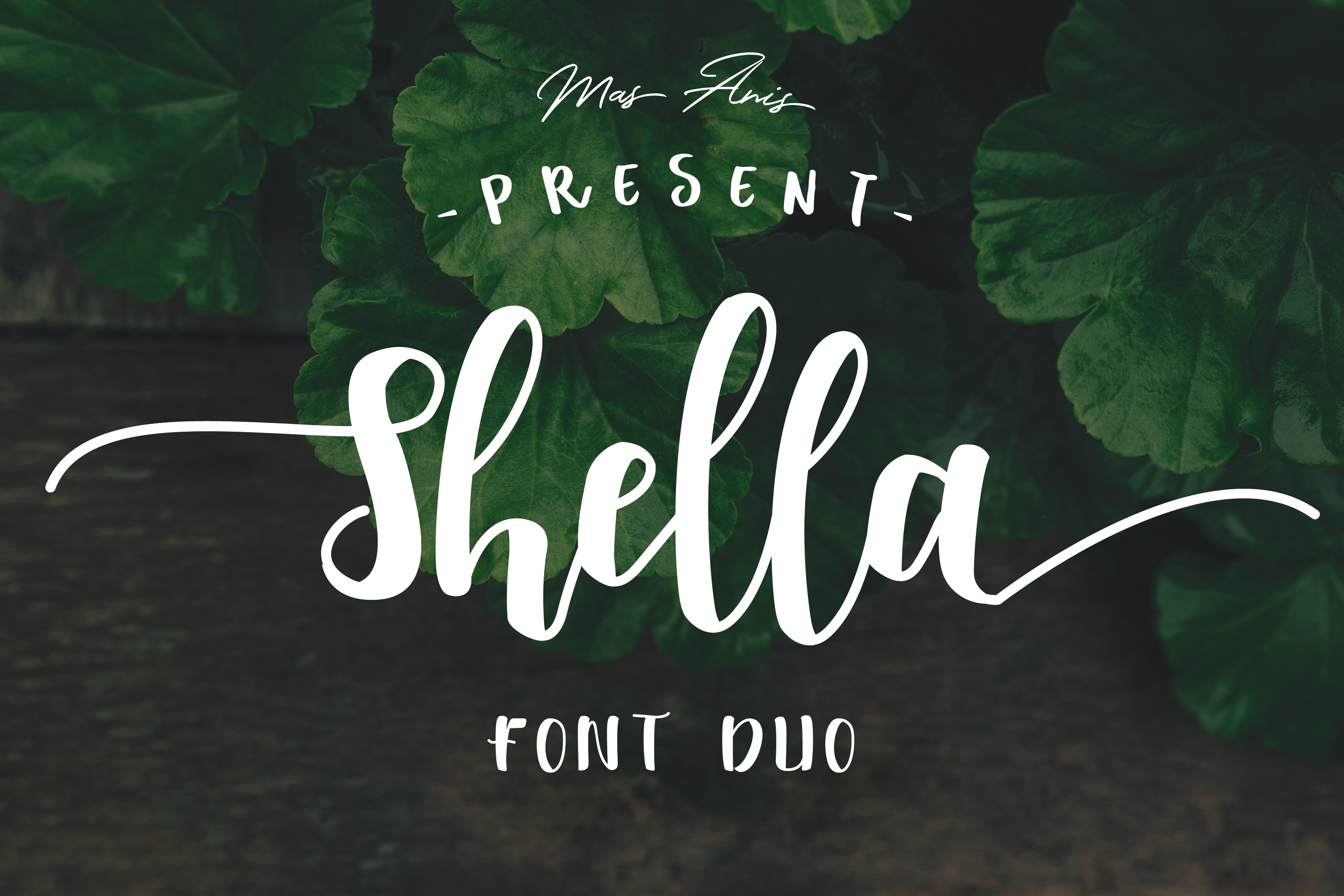 Shella Typeface: Boosting Campaign Clarity with Warm, Hand-Brushed Typography