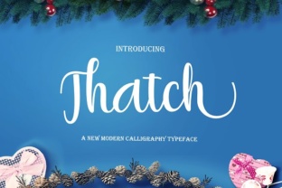 Thatch: The Modern Script Typeface for Scroll-Stopping Brand Content