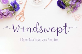 Windswept: A Modern Script Typeface for Digital Branding